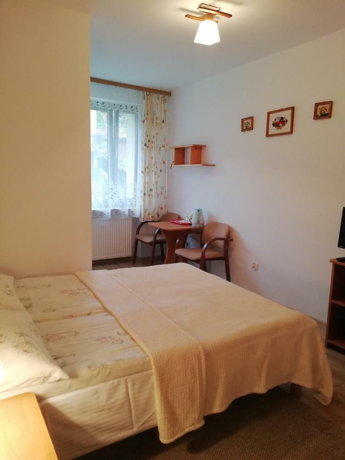 Arnika Apartment Krynica-Zdrój Zimmer foto